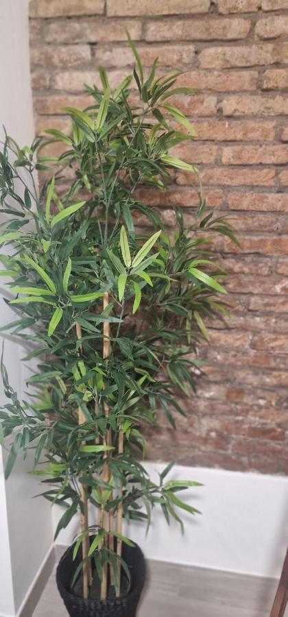 ロスピタレート・デ・リョブレガートBarcelona,Apartamento Con Terrazaアパートメント エクステリア 写真